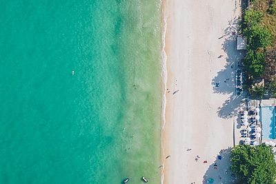 The Hive - the beach